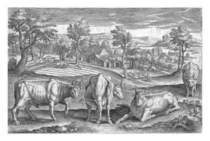 Cattle, Adriaen Collaert, 1595 - 1597 photo