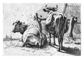 dos vacas visto desde detrás, paulus alfarero, 1650 - 1700 foto