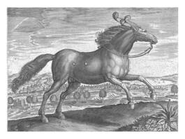 Horse from Arabia, Hans Collaert I attributed to, after Jan van der Straet, c. 1578 - c. 1582 photo