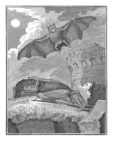 Bats, W. Tringham, after Jacques de Seve, 1773 photo