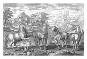 Horses, Adriaen Collaert, 1595 - 1599 photo