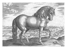 Horse from Friesland, Hendrick Goltzius attributed to, after Jan van der Straet, c. 1578 - c. 1582 photo