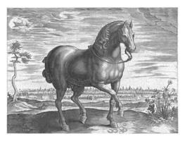 Horse from Guelders, Hans Collaert I attributed to, after Jan van der Straet, c. 1578 - c. 1582 photo