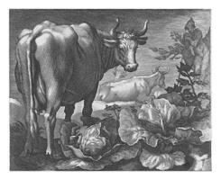 Cows, Boetius Adamsz. Bolswert, after Abraham Bloemaert, 1611 - 1661 photo