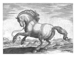 caballo desde Dinamarca danús, Hendrick goltzius posiblemente, después ene camioneta der calle, C. 1578 - C. 1582 foto