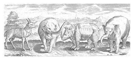 Gazelle, elephant and rhinoceros, Abraham de Bruyn photo