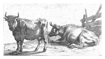 un en pie y un reclinable vaca, paulus alfarero, 1635 - 1704 foto
