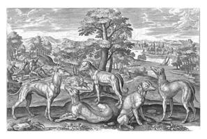 Hunting dogs, Adriaen Collaert, 1595 - 1633 photo