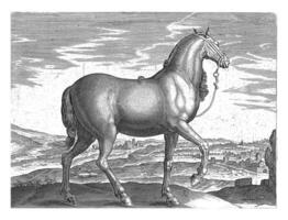 Horse from Albania, Hendrick Goltzius possibly, after Jan van der Straet, c. 1578 - c. 1582 photo