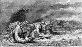 The Tebbad hurricane or sand, vintage engraving. photo