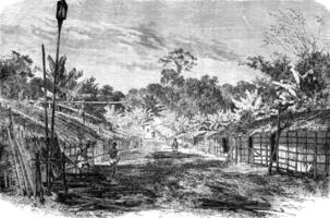 Village Pahouins, vintage engraving. photo