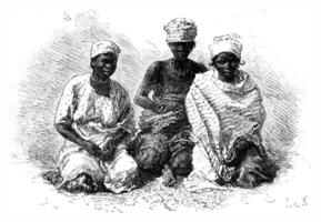 Senegalese servants, vintage engraving. photo