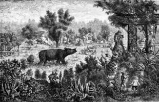 Meet a rhino in the ruins of Yeng Sen, vintage engraving. photo