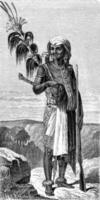 Native Timor, vintage engraving. photo