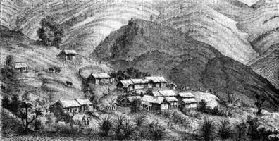 Village of Cholera, vintage engraving. photo