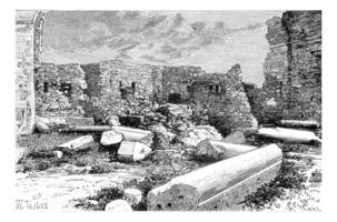 Pink Syenite Columns of the Crusader Cathedral Ruins in Tyre, Lebanon, vintage engraving photo