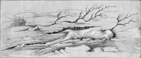 A victim of the tidal wave caused by the eruption of Krakatoa, vintage engraving. photo