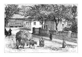 A Street in Zugdidi, vintage engraving photo