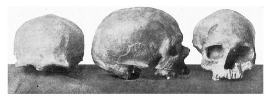 Crumbling skull of Cro magnon in the valley of the Vezere, vintage engraving. photo