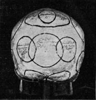 cráneo con indicación de hiel órganos visto desde lado y atrás, Clásico grabado. foto