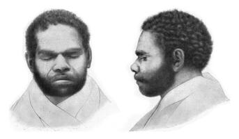 cabeza y cara de uno de el último supervivientes de el totalmente exterminado primitivo habitantes de tasmania, Clásico grabado. foto