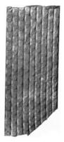 fragmento de el superficie de el ladrar de un sigilario de el carbonífero formación, Clásico grabado. foto