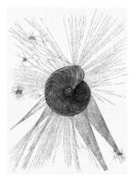 Foraminifere alive, vintage engraving. photo