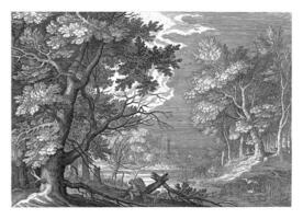 Forest Landscape vintage sketch photo