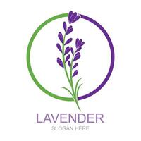 lavanda, logotipo, plantilla, vector, símbolo, naturaleza vector