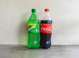 soft drink with coca cola and sprite 1 litter bottle served in plate isolated on grey background top view of pakistani and indian spices food photo