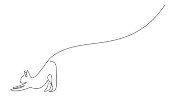 Continuous line drawing of cat on white background. vector