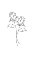 One line drawing. Garden rose with leaves. Hand drawn sketch. vector