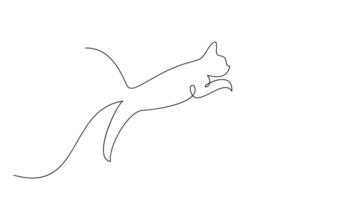 Continuous line drawing of cat on white background. vector