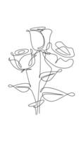 One line drawing. Garden rose with leaves. Hand drawn sketch. vector