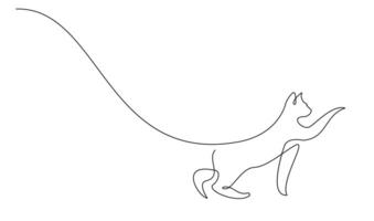 Continuous line drawing of cat on white background. vector