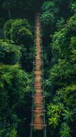 AI generated Experience eco-tourism with a canopy walkway above the rainforest, offering a bird's eye view of nature photo