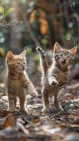 ai generado energético y divertido, juguetón gatitos son persiguiendo un láser puntero. foto