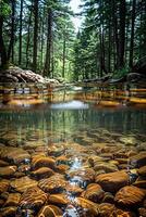 AI generated Clear, crisp mountain water in a stream versus opaque, murky pond water in a forest photo