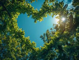 AI generated Heart shaped canopy below, representing tree affection, under clear sky on a sunny afternoon. photo