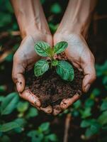 AI generated Hands cradle fertile soil, nurturing a seedling a tribute to organic living and sustainable farming. photo