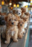 AI generated Puppies at pet grooming session, fluffy and fresh, excitedly wag tails, awaiting their turn for pampering. photo