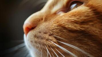 AI Generated Close-up of a Ginger Cats Soft Nose, White Whiskers, Pink Nose, and Green Eyes photo