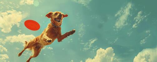 AI generated A joyful dog leaping for a frisbee, embodying action and happiness. photo