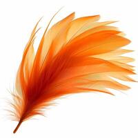 AI generated Orange feather isolated on white background. Closeup of bird feather. photo