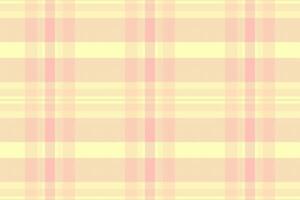 India pattern plaid fabric, nostalgia texture check vector. Spring textile tartan seamless background in light and peach puff colors. vector