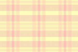 India pattern plaid fabric, nostalgia texture check vector. Spring textile tartan seamless background in light and peach puff colors. vector