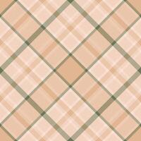 Plaid pattern vector. Check fabric texture. Seamless textile design for clothes, paper print. vector