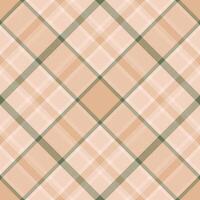 Plaid pattern vector. Check fabric texture. Seamless textile design for clothes, paper print. vector