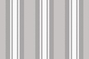 Seamless lines vector of stripe vertical background with a fabric textile texture pattern.