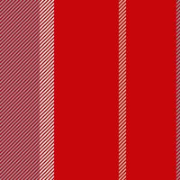 Stripes pattern vector background. Colorful stripe abstract texture.